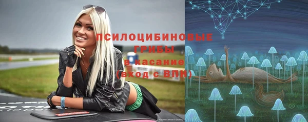 амф Горняк