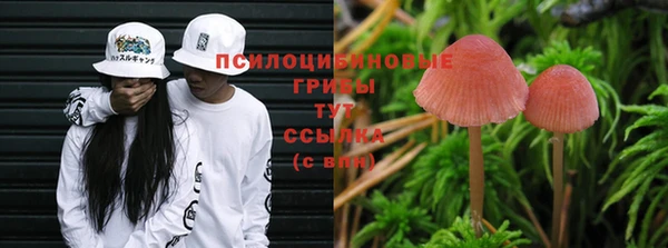 наркотики Горнозаводск