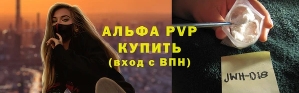 прущие грибы Горно-Алтайск