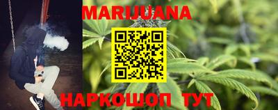 амф Можга