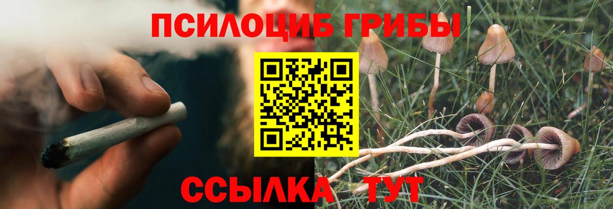 Галлюциногенные грибы прущие грибы  Вход с VPN  Галлюциногенные грибы MAGIC MUSHROOMS  Глазов 